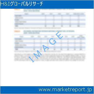 市場と産業調査レポートのイメージ